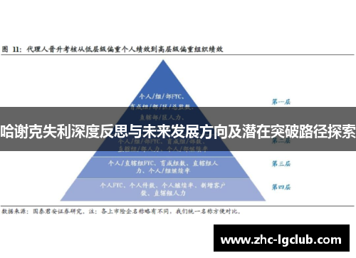 哈谢克失利深度反思与未来发展方向及潜在突破路径探索