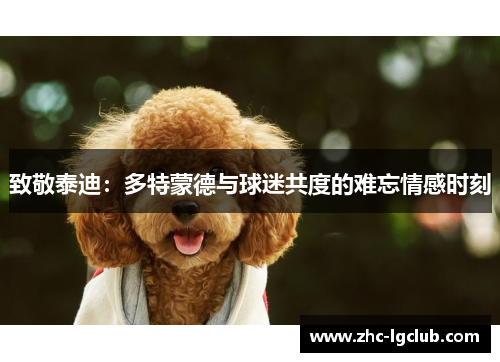 致敬泰迪：多特蒙德与球迷共度的难忘情感时刻