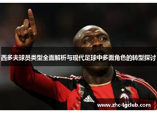 西多夫球员类型全面解析与现代足球中多面角色的转型探讨 西多夫球员类型全面解析与现代足球中多面角色的转型探讨