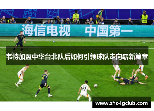 韦特加盟中华台北队后如何引领球队走向崭新篇章 韦特加盟中华台北队后如何引领球队走向崭新篇章